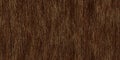 Seamless tree bark background texture closeup