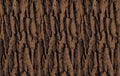 Seamless tree bark texture