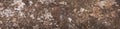 Seamless tree bark texture, outermost layer of tree trunk, panoramic shot Royalty Free Stock Photo