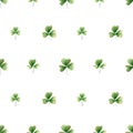 Seamless trefoil floral pattern. Watercolor background with shamrock leaf for textile, wrapping paper, St Patrick day decorations