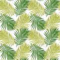 Seamless pattern of tropical leaves. Vector seamless pattern. Tropical illustration. Jungle foliage.