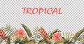 Seamless tropical border vector transparent background Royalty Free Stock Photo