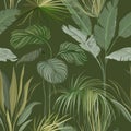 Seamless Tropical Botanical Background, Floral Wallpaper Print with Exotic Philodendron Monstera Jungle Leaves