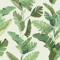 Seamless Tropical Floral Print with Exotic Green Jungle Banana Palm Leaves on Beige Background. Rainforest Wild Plants