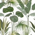 Seamless Tropical Floral Print with Exotic Green Jungle Philodendron Monstera Leaves on White Background