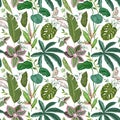 Seamless Tropical Floral Print with Exotic Green Jungle Philodendron Monstera Leaves on White Background