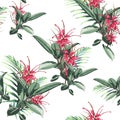 Seamless tropical flower pattern background. Protea flowers, jungle leaves and ficus elastica, on white background.