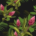 Seamless tropical flower pattern background. Tropical protea flowers, jungle leaves, on light background. Royalty Free Stock Photo