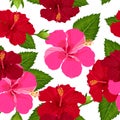 Seamless tropical flower ,plant vector pattern background Royalty Free Stock Photo