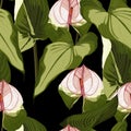 Seamless tropical flower. Tropical Spathiphyllum and leaves. Fabric swatch with paradise flowers isolated.