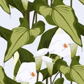Seamless tropical flower. Tropical Spathiphyllum and leaves. Fabric swatch with paradise flowers.