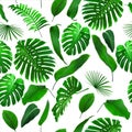 Seamless Tropical Jungle Leaves Background