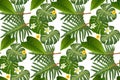 Seamless tropical pattern with palm leaves for fabric design or