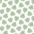 seamless tropical leaf pattern and background vector illustration Royalty Free Stock Photo