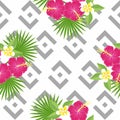 Seamless tropical leaves and flowers - palm, monstera, hibiscus and plumeria against the background of geometric gray Royalty Free Stock Photo