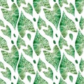 Seamless tropical leaves pattern. Watercolor botanical illustration with green leafed plant