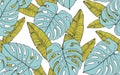 Seamless tropical pattern with banana leaves and monstera. Hand drawn vector