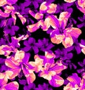 Seamless tropical pattern, beautiful hibiscus and palm leaves Royalty Free Stock Photo