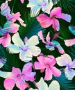 Seamless tropical pattern, beautiful hibiscus and palm leaves Royalty Free Stock Photo