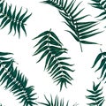 Seamless tropical pattern, exotic background with palm tree branches, leaves, leaf, palm leaves. endless texture Royalty Free Stock Photo