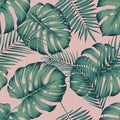 Seamless tropical pattern with leaves monstera and areca palm leaf on a pink background Royalty Free Stock Photo