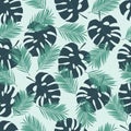 Seamless tropical pattern with leaves monstera and palm on a light green background Royalty Free Stock Photo