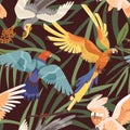 Seamless tropical pattern with parrots in jungles. Endless background with exotic birds and palm leaves. Repeatable Royalty Free Stock Photo