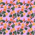Seamless tropical pattern with plumeria and strelitzia with leaves on pink background. Seamless pattern with colorful Royalty Free Stock Photo
