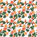 Seamless tropical pattern with plumeria and strelitzia with leaves on white background. Seamless pattern with colorful leaves of Royalty Free Stock Photo