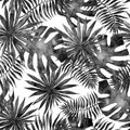 Seamless tropical pattern