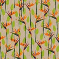 Seamless tropical pattern with strelitzia and leaves, hand drawn illustration