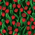 Seamless tulips pattern on black Royalty Free Stock Photo