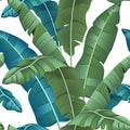 Seamless turquoise and green tropical pattern with banana leaves on white background, flat line vector and illustration. - Vector Royalty Free Stock Photo