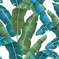 Seamless turquoise and green tropical pattern with banana leaves on white background, flat line vector and illustration. - Vector Royalty Free Stock Photo