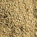 Seamless Uncooked rice Texture Royalty Free Stock Photo