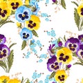 Seamless varicolored pansies