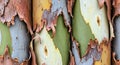 Seamless Variegated Eucalyptus Bark Pattern Peeling Multi-Tone Texture Tileable Background Royalty Free Stock Photo