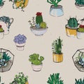 Seamless with various hand drawn succulent and cactus plants on white background. Colorful pattern. Royalty Free Stock Photo