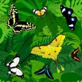 Seamless vector african tropical rainforest jungle background with butterflies