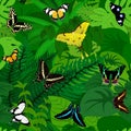 Seamless vector african tropical rainforest jungle background with butterflies