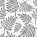 Seamless vector background with different silhouette fern leaves on wight background. Vector illustration