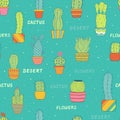 Seamless vector background with drawn cacti and letterings in sketch style