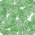 Seamless vector background palm leaves