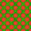 Seamless Vector Background pattern of sliced tomatoes on green leaves