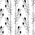 Seamless vector background of silhouettes sparrows birds sitting on tree branches in spring, isolated on white