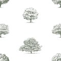 Seamless vector background of sketches silhouettes different deciduous trees willlow, oak, maple, linden with lush foliage in