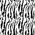 Seamless vector black and white abstract zebra fur. Stylish print of wild zebra, tiger, striped animal. Animalistic