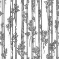 Seamless vector black and white pattern with trunks and branches of high deciduous trees with straight trunks