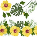 Yellow hibiscus and monstera, palm leaves for design of fabric, paper and more pattern. Seamless vector brush from tropical plants