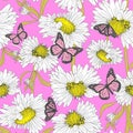 Seamless vector butterflies and chamomiles pattern. Multicolor butterflies background for design, banner, wrapping, textile, fab